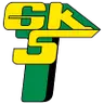 GKS Gornik Leczna Women