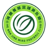 Zhengzhou Jingmiao U17