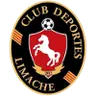 Deportes Limache
