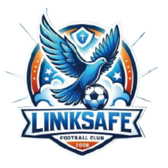 Ji'nan Linksafe Ji'nan Linksafe