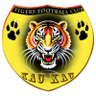 Tigres Poderosos
