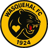 ES Wasquehal
