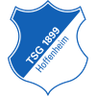 Hoffenheim Sub-19