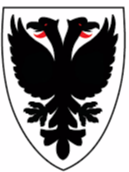 AFC Wimbledon Femenino