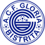 A.C.F. Gloria Bistrița