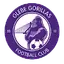 Glebe Gorillas FC