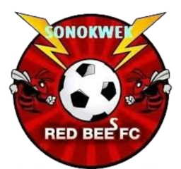 Red Bees Red Bees