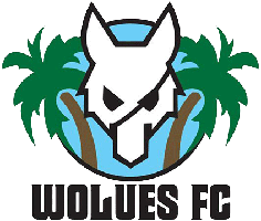 Wolues FC Wolues FC