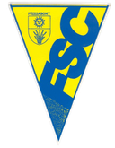 Füzesabonyi SC