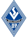 SV Waldhof Mannheim Sub-17