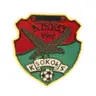 Sokol Nisko