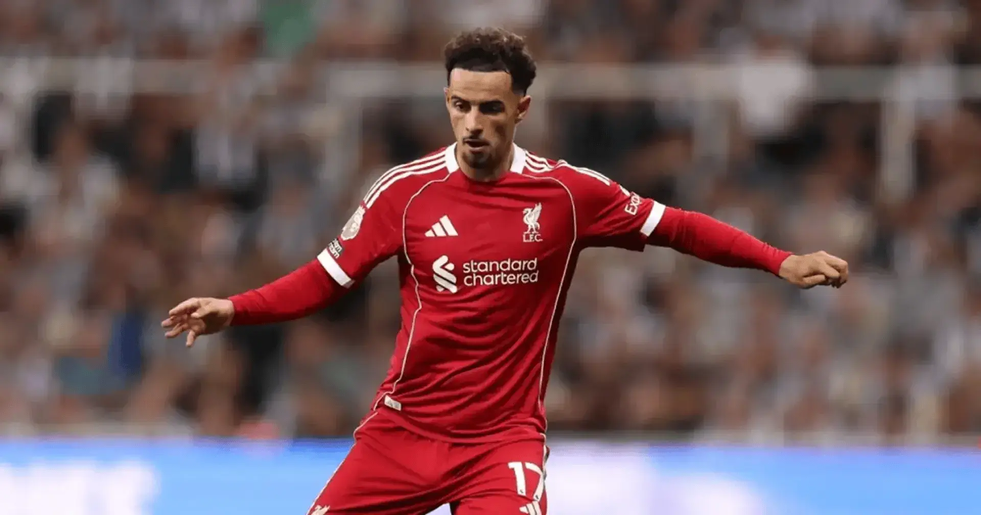 الدوري الإنجليزي، ليفربول، جونز، كأس أمم أفريقيا، صلاح، camel.live