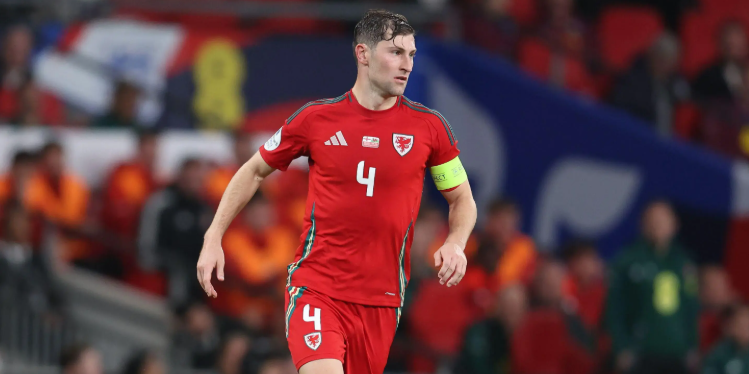 Tottenham Considering Appointing Ben Davies as Player-Coach to Manage the Team