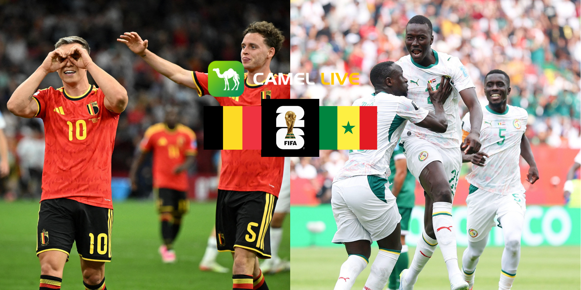 【Click to get your supported team's FREE avatar 】How to Watch World Cup Round of 32 Belgium vs Senegal:Free Live Stream, TV channel and Start Time