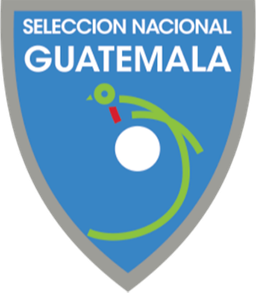 Quarta Divisão da Guatemala