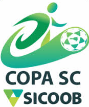 Copa Santa Catarina de Brasil