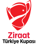 كأس تركيا