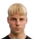 otto minkkinen