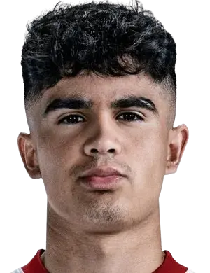 Hugo Novoa Ramos