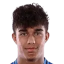 Dominic Vavassori