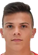 leonardo petrovic