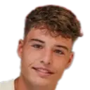 Stan van Manen