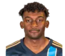 Nelson Pierre