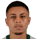 Felipe Guimarães da Silva