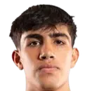 luis alvarez