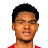 Aaron Malouda