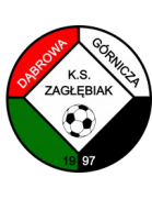 Zaglebiak Dabrowa