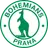 Bohemians 1905