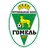 FC Gomel