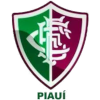 Fluminense PI Juvenil Fluminense PI Juvenil