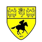 নিউমার্কেট টাউন
