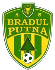 Bradul Putna Bradul Putna