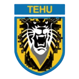 Nanjing Tehu Football Club