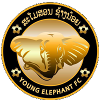 Young Elephants Young Elephants