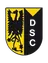 VV Diepenveen Youth