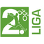 Liga Kedua Slovenia