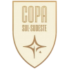 Copa Sul-Sudeste