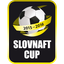 Piala Slovakia