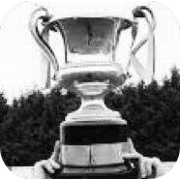 Piala Menengah Irlandia Utara