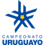 Uruguay Primera Division