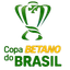 Brazilian Cup
