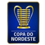 كأس كوبا دو نورديستي البرازيلية