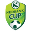 South Africa League Cup