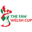 Piala Welsh