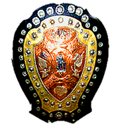 IND IFA Shield League: Liga IND IFA Shield