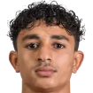 Mehdi Akoumi